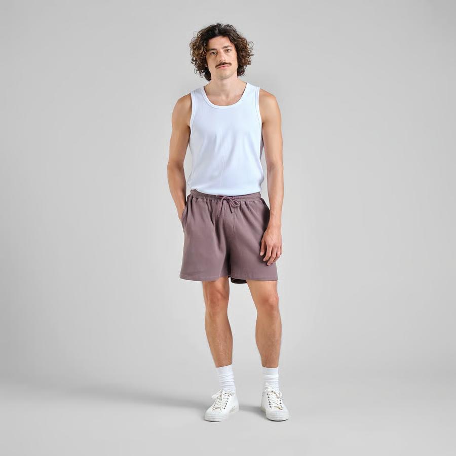 Dedicated Shorts Essingen Waffle Sparrow Brown Shorts Herren cremebraun